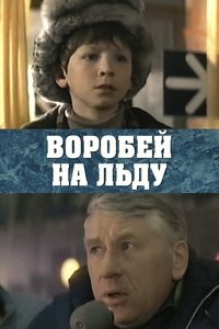 Воробей на льду