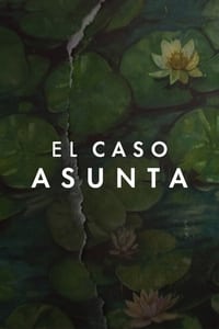 Poster de El caso Asunta