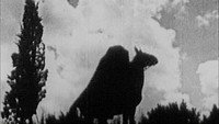 «Всадник без головы (1922)» — обои к фильму #1