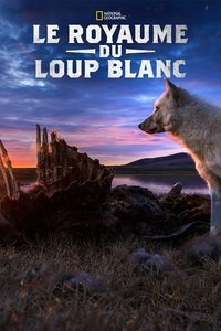 Saison 1 poster