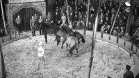 Обои к фильму «Дом без окон (1962)» — (20 из 27)
