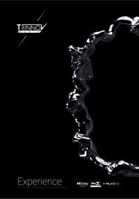 Poster do Filme Experience