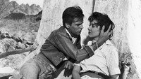 «Поцелуй перед смертью (1956)» — обои к фильму #4