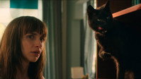 «Я — кот (2023)» — обои к фильму #1