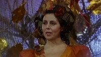 «Dumbrava minunata (1981)» — обои к фильму #1