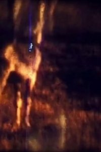 Imagem do Filme L'Âne dans un pré