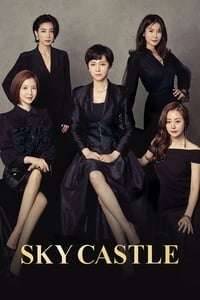 tv show poster SKY+Castle 2018