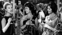 «Львы на свободе (1961)» — обои к фильму #1