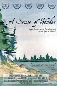 A Sense of Wonder (2008)