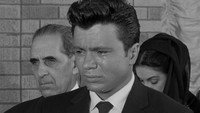 «Случай в Тихуане (1957)» — обои к фильму #4