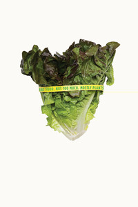 Постер фильма «In Defense of Food (2015)» — (1 из 2)