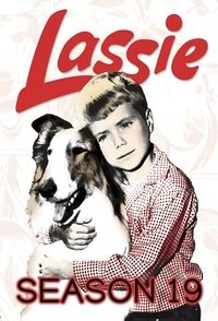 Season 19 Poster