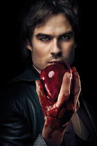 Постер сериала «Дневники вампира (2009-2017)» — (14 из 298)