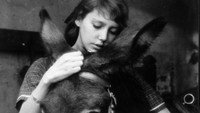 «Наудачу, Бальтазар (1966)» — обои к фильму #4