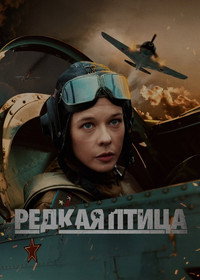 Постер сериала «Редкая птица (2024)» — (2 из 3)