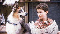 «100 подвигов Эдди Макдауда (1999-2002)» — обои к сериалу #2