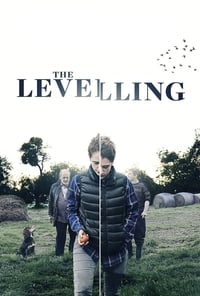 Poster de The Levelling