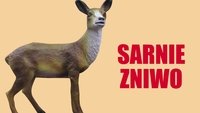 Sarnie żniwo, czyli pokusa statuetkowego szlaku