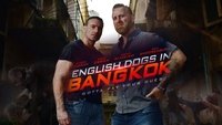 English Dogs in Bangkok