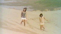 «完全なる同性愛 (1971)» — обои к фильму #1
