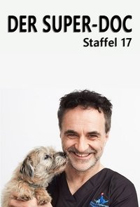 Season 17 Poster
