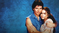 «Бедные родственники (1993)» — обои к сериалу #1