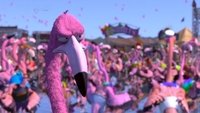 Flamingo Pride