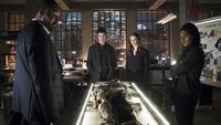 Wer ist Harrison Wells?