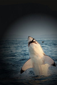 Постер сериала «When Sharks Attack (2013 - 2020)» — (1 из 7)