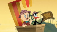 «The Curse of the Monkey Bird (2020)» — обои к мультфильму #1