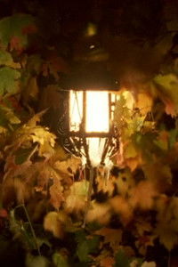 Imagem do Filme Summer Light