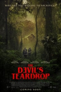 Poster de The Devil's Teardrop
