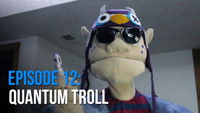 Quantum Troll