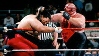 «WWF В твоем доме: Осторожно! Злая собака (1996)» — обои к фильму #1