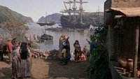 The King's Pirate