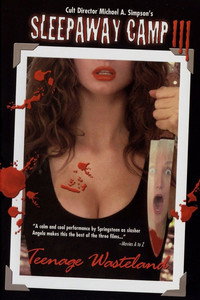 Постер фильма «Спящий лагерь 3: Безлюдная территория (1988)» — (9 из 20)