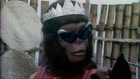 «O Trapalhão no Planalto dos Macacos (1976)» — обои к фильму #1