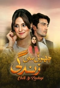 چھوٹی سی زندگی‎ (2016)