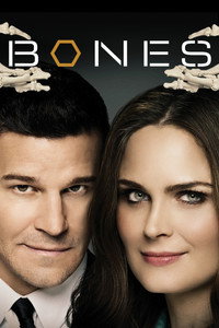 Постер сериала «Кости (2005 - 2017)» — (39 из 181)