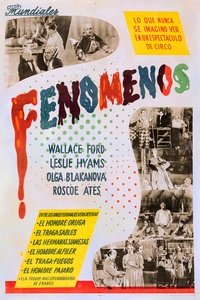 Poster de Fenómenos