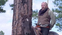 «Run for the High Country (2018)» — обои к фильму #3
