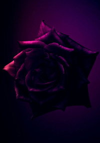 Постер сериала «Слишком стар, чтобы умереть молодым (2019)» — (5 из 29)