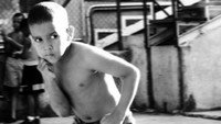 «Боксеры и балерины (2004)» — обои к фильму #1