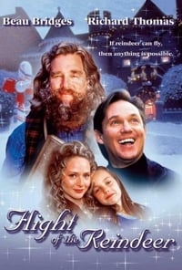 Poster de Flight of the Reindeer