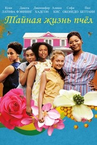 Sophie Okonedo photo