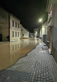 Allein in der Flut (2026) poster