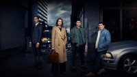 «Топ дог (2020-2023)» — обои к сериалу #1