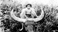 «Чанг: Драма в глуши (1927)» — обои к фильму #2