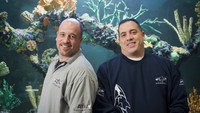«Аквариумный бизнес (2011-2018)» — обои к сериалу #2