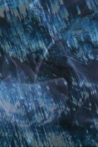 Постер фильма «Comingled Containers (1997)» — (6 из 17)